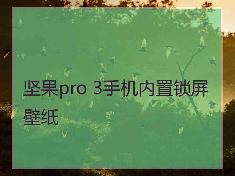 坚果pro 3手机内置锁屏壁纸