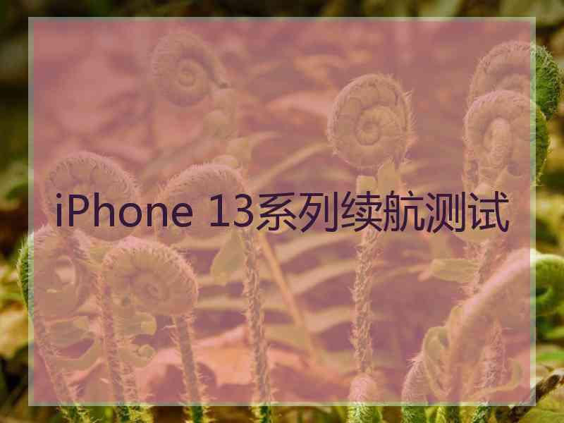 iPhone 13系列续航测试