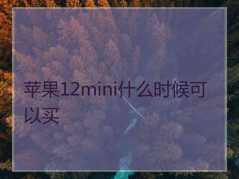 苹果12mini什么时候可以买