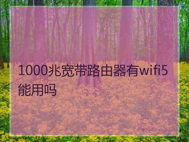 1000兆宽带路由器有wifi5能用吗