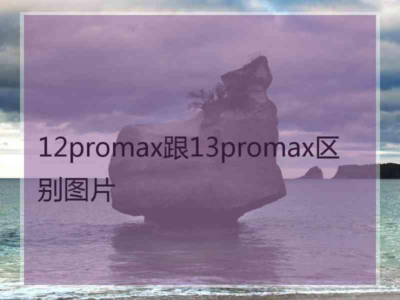 12promax跟13promax区别图片