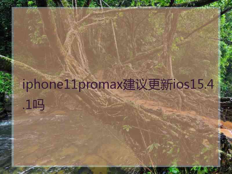 iphone11promax建议更新ios15.4.1吗