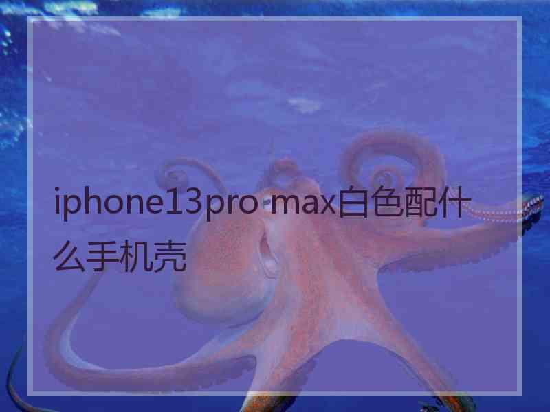 iphone13pro max白色配什么手机壳