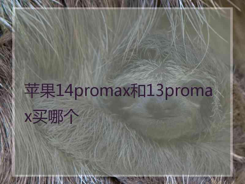 苹果14promax和13promax买哪个