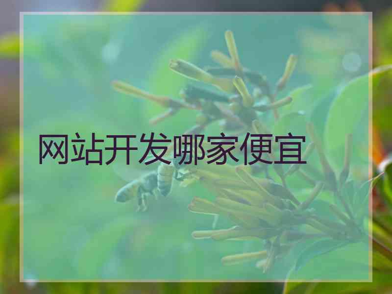 网站开发哪家便宜