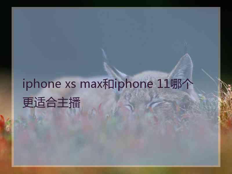 iphone xs max和iphone 11哪个更适合主播