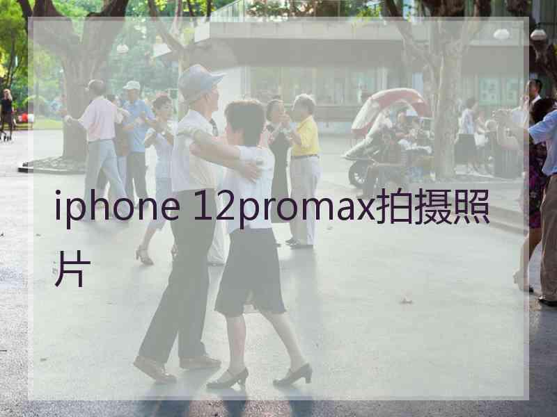 iphone 12promax拍摄照片