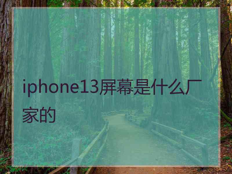 iphone13屏幕是什么厂家的