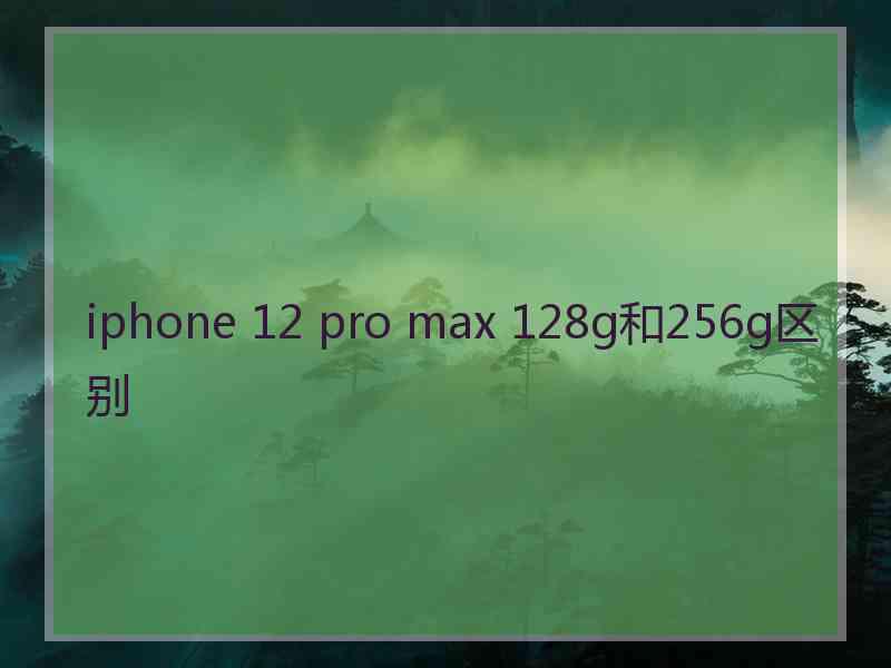 iphone 12 pro max 128g和256g区别