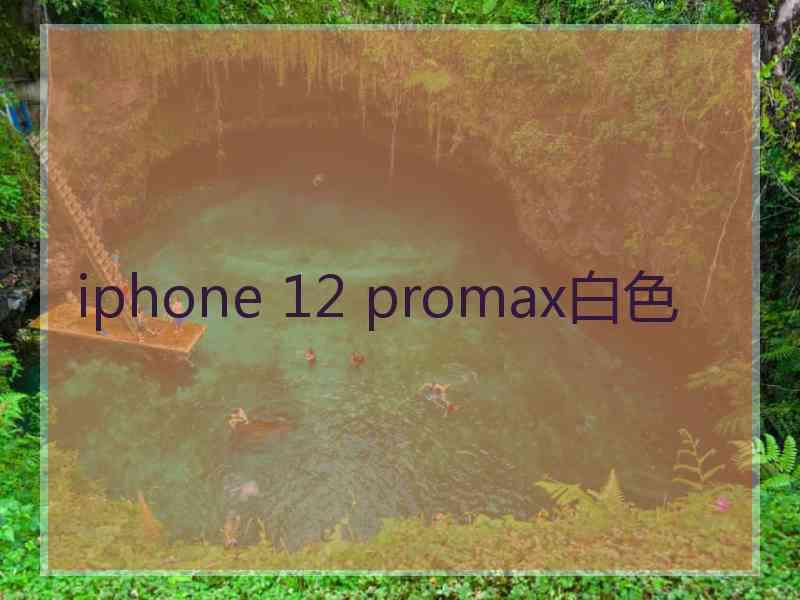 iphone 12 promax白色