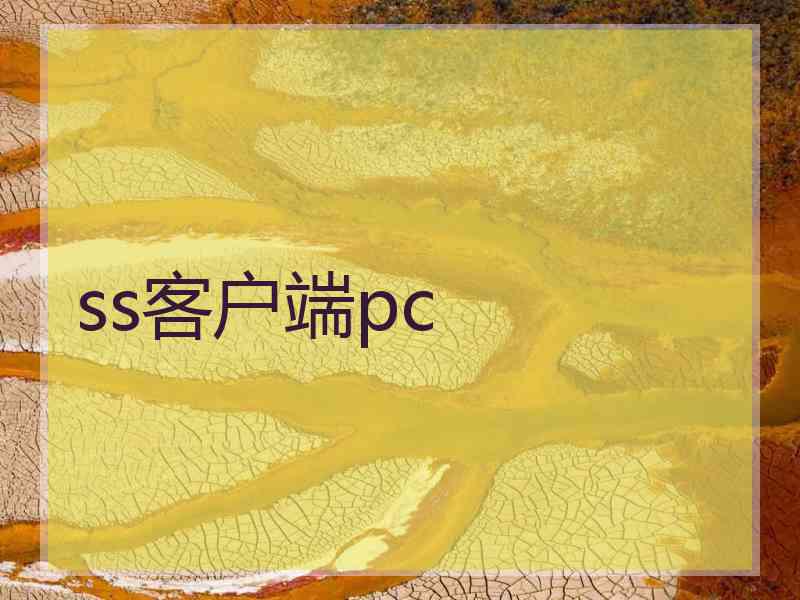 ss客户端pc