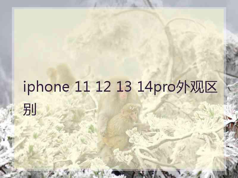 iphone 11 12 13 14pro外观区别