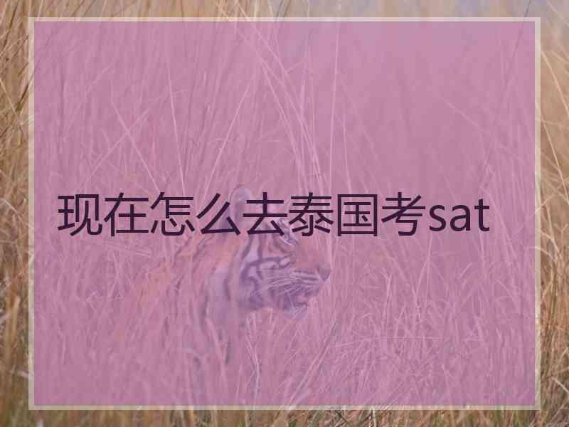 现在怎么去泰国考sat