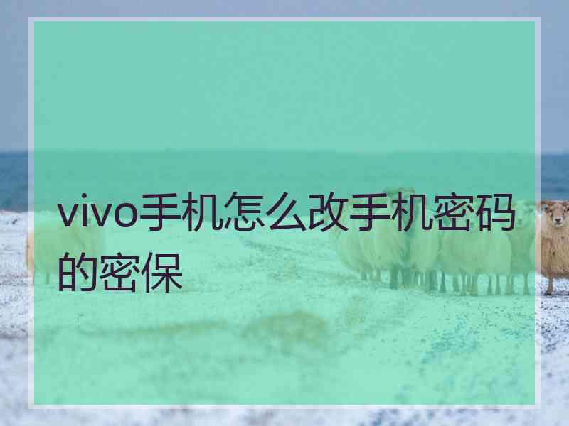 vivo手机怎么改手机密码的密保