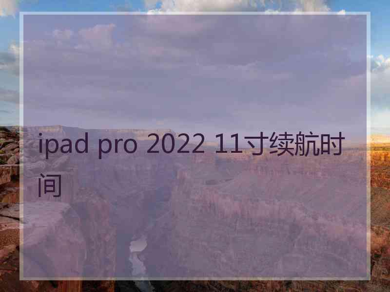 ipad pro 2022 11寸续航时间