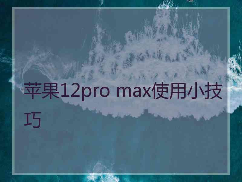 苹果12pro max使用小技巧