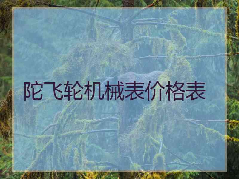 陀飞轮机械表价格表