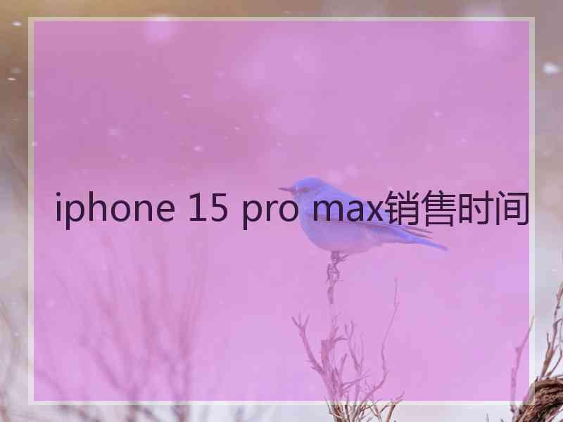 iphone 15 pro max销售时间