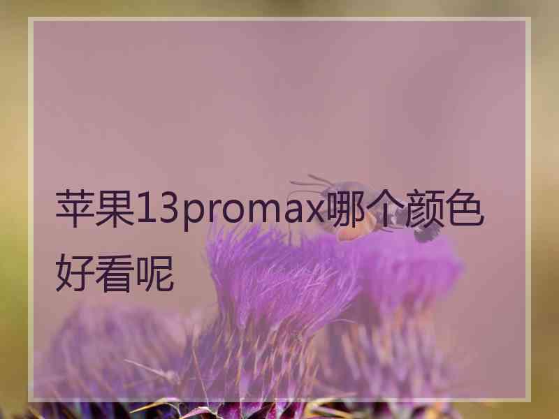 苹果13promax哪个颜色好看呢