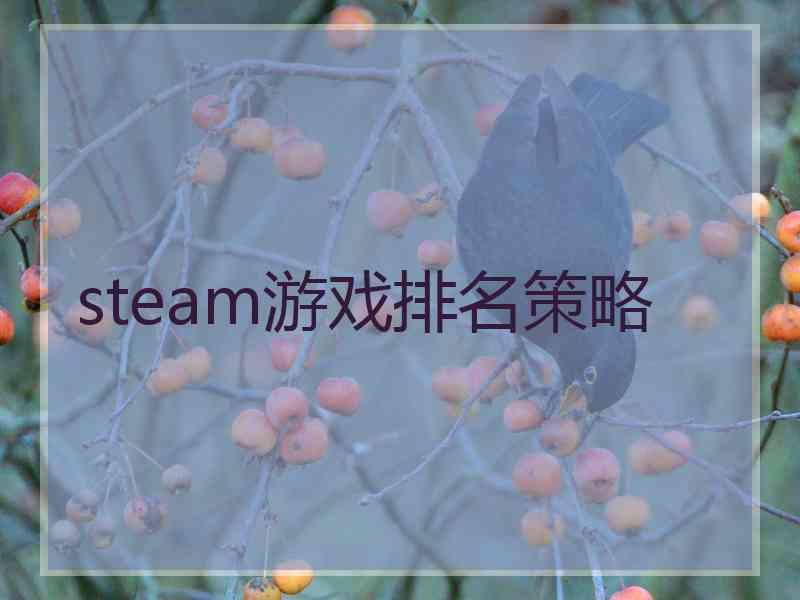 steam游戏排名策略