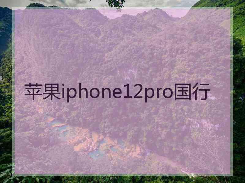 苹果iphone12pro国行