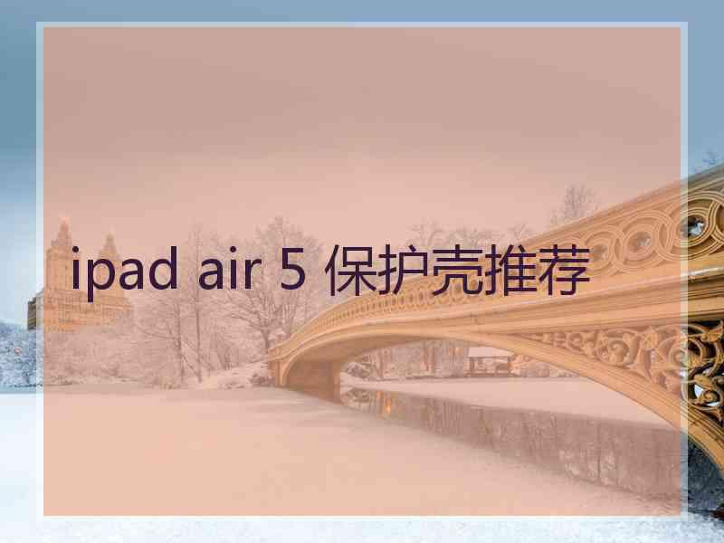 ipad air 5 保护壳推荐