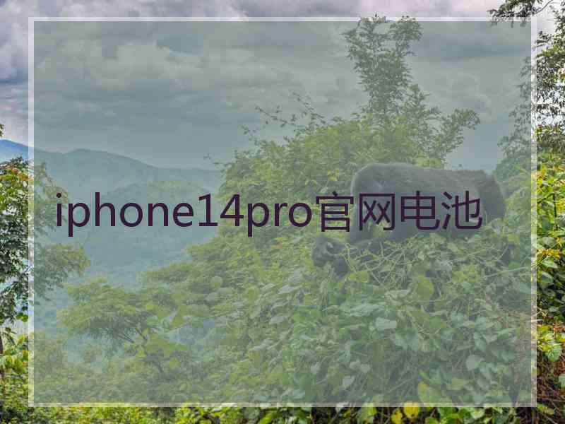 iphone14pro官网电池