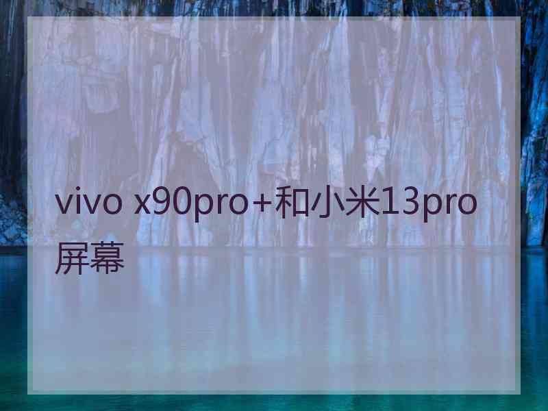 vivo x90pro+和小米13pro屏幕