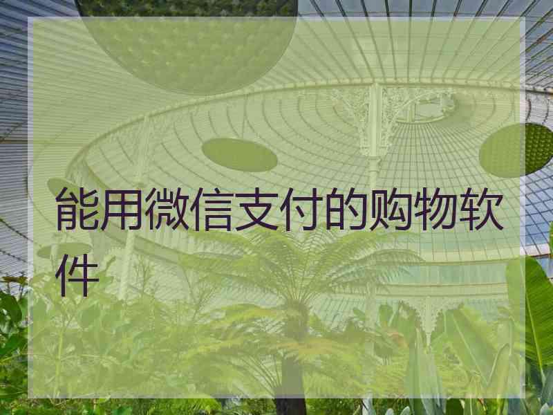 能用微信支付的购物软件