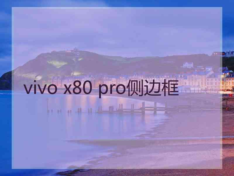 vivo x80 pro侧边框