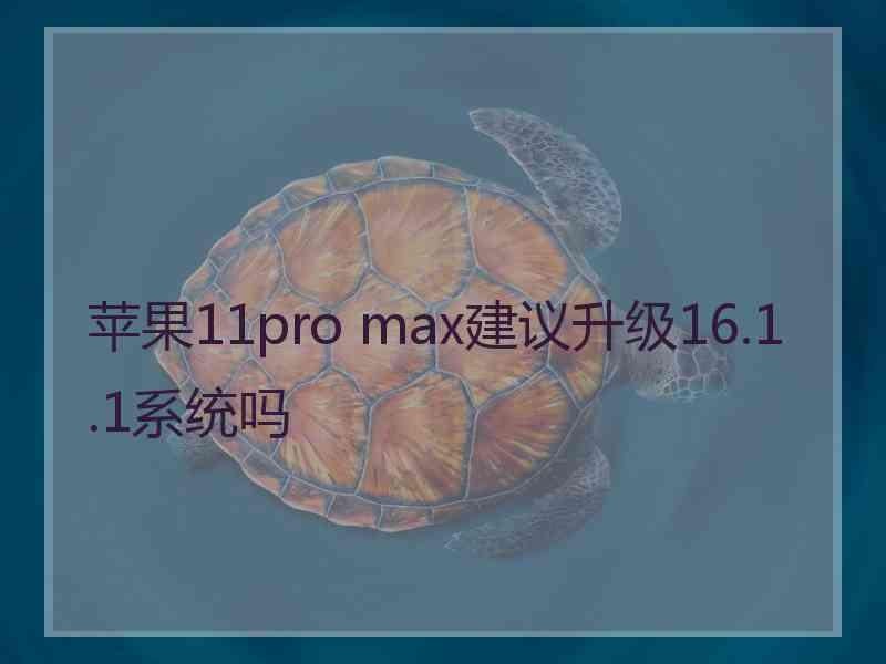 苹果11pro max建议升级16.1.1系统吗