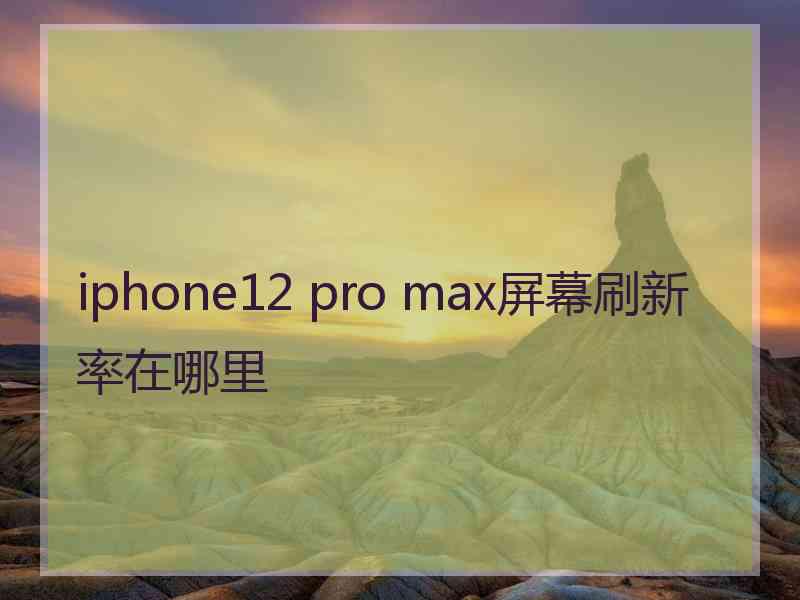 iphone12 pro max屏幕刷新率在哪里