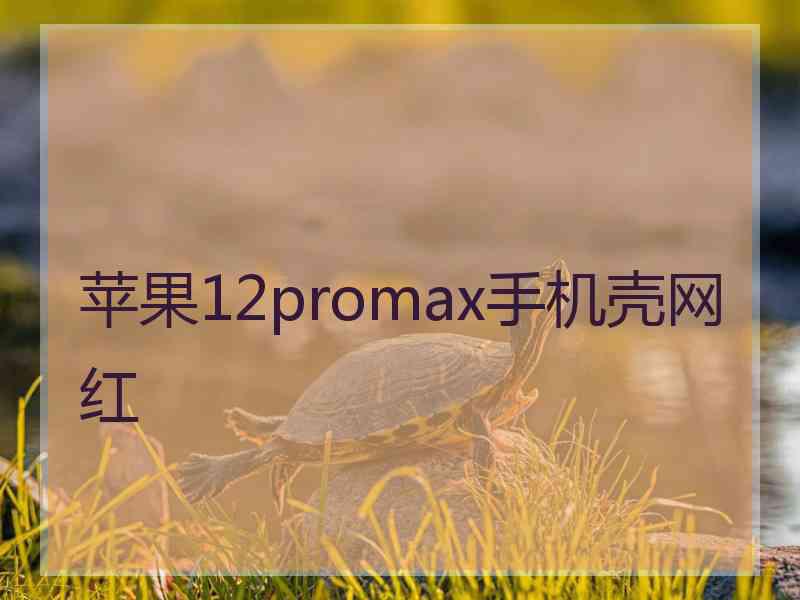 苹果12promax手机壳网红