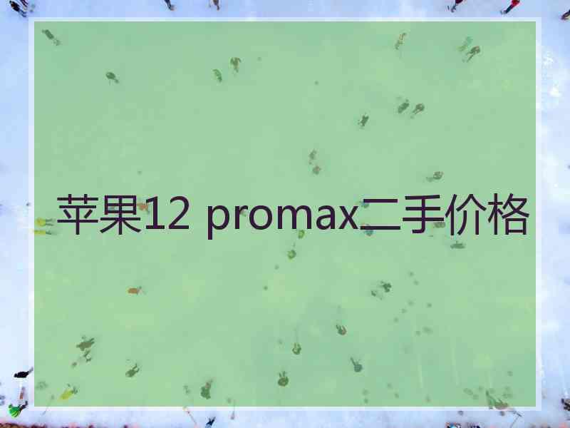 苹果12 promax二手价格