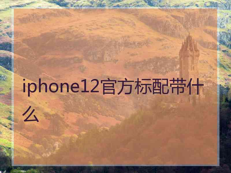 iphone12官方标配带什么