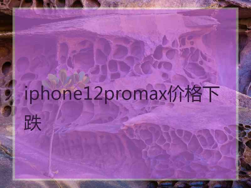 iphone12promax价格下跌