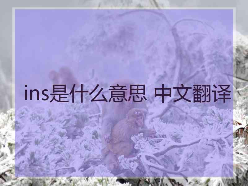 ins是什么意思 中文翻译