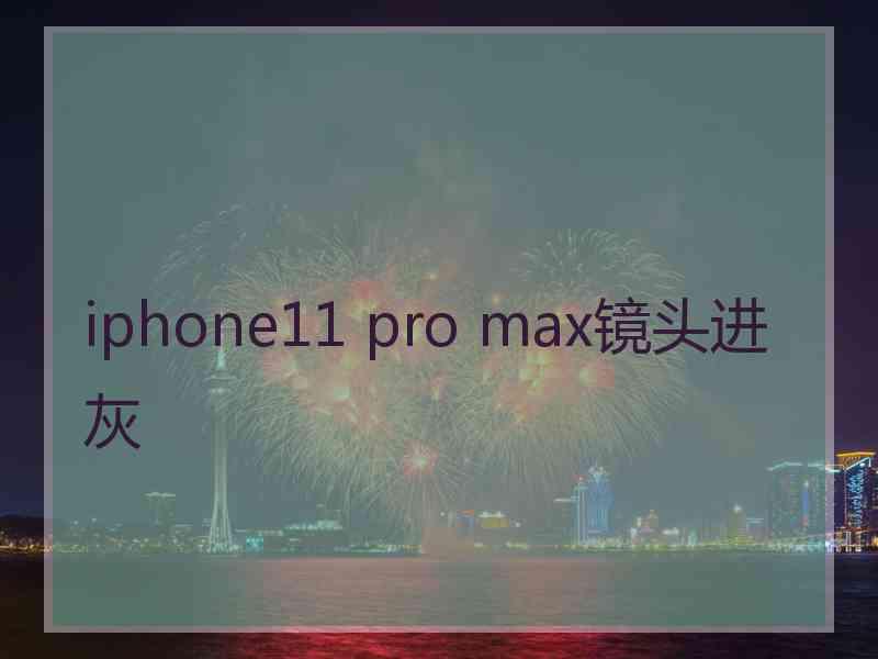 iphone11 pro max镜头进灰