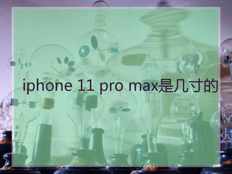 iphone 11 pro max是几寸的