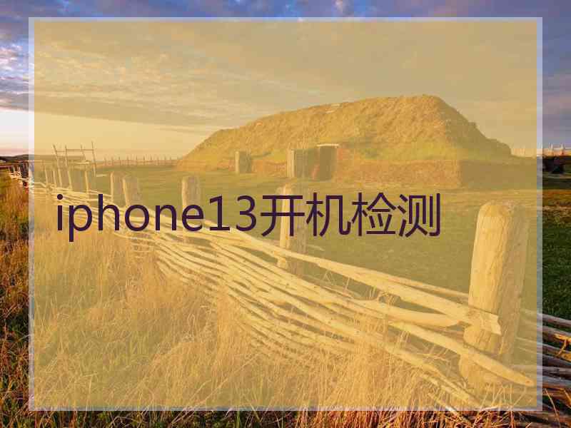 iphone13开机检测