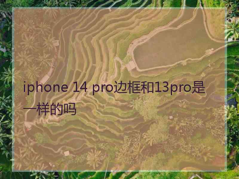 iphone 14 pro边框和13pro是一样的吗