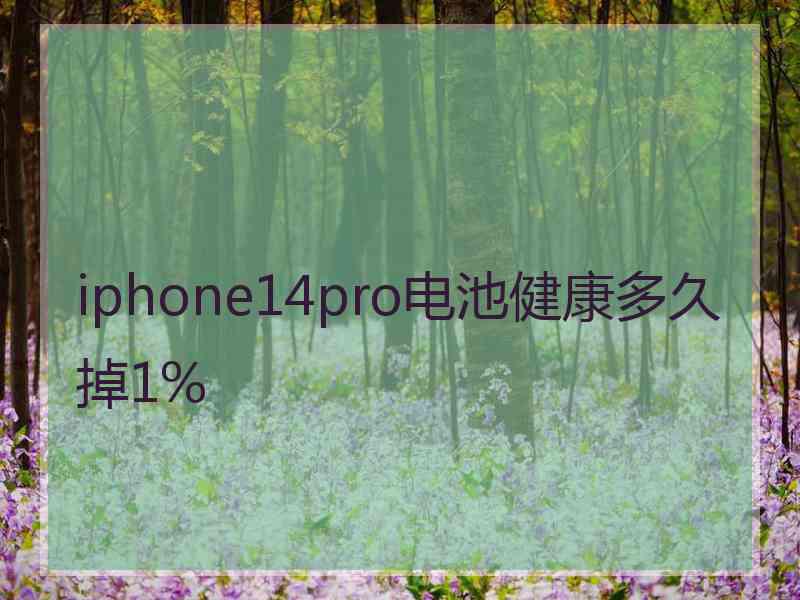 iphone14pro电池健康多久掉1%