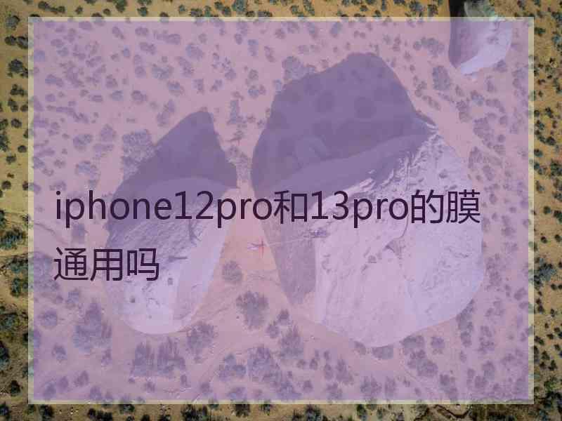 iphone12pro和13pro的膜通用吗