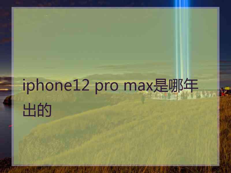 iphone12 pro max是哪年出的