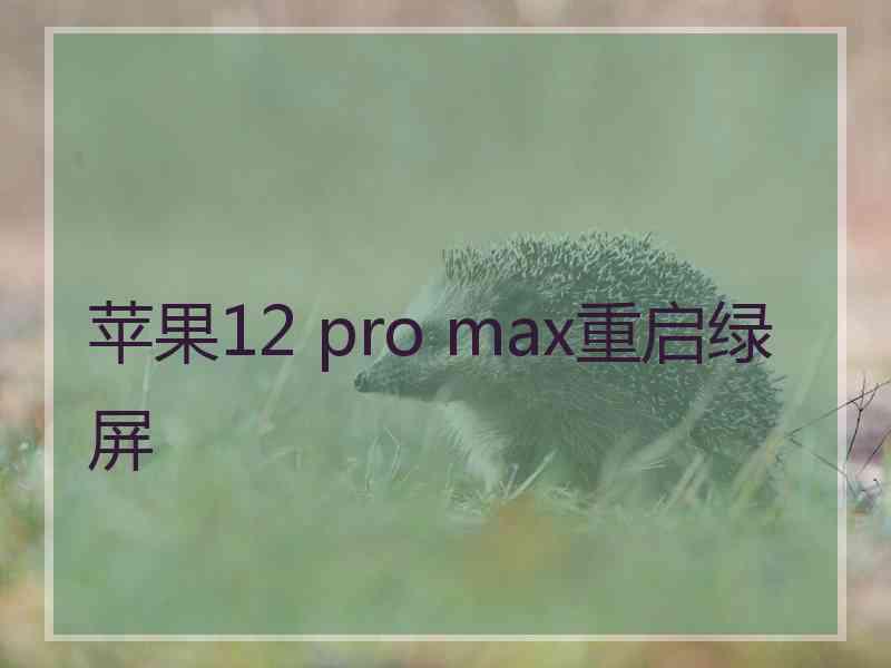 苹果12 pro max重启绿屏