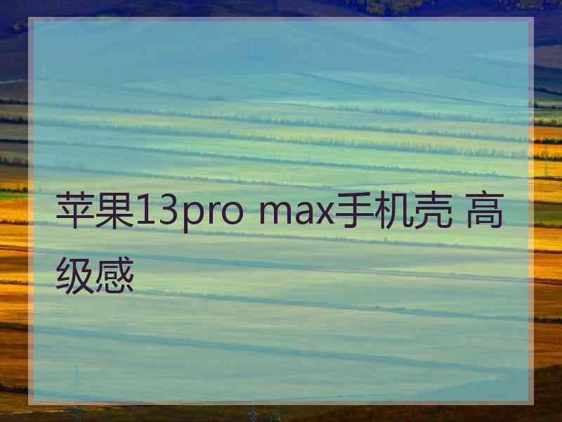 苹果13pro max手机壳 高级感