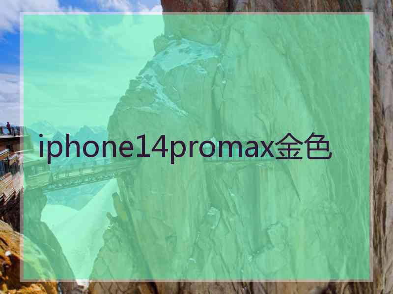 iphone14promax金色