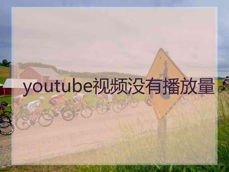 youtube视频没有播放量