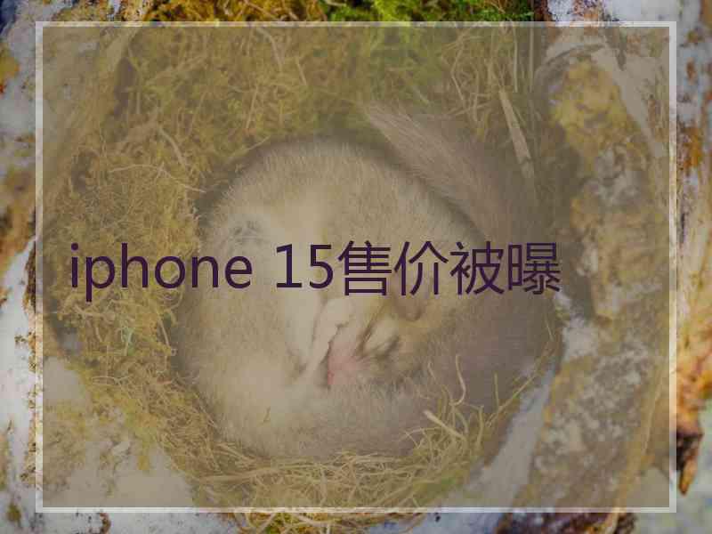 iphone 15售价被曝