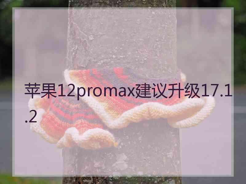 苹果12promax建议升级17.1.2